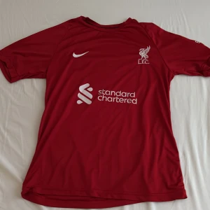 Liverpool FC röd fotbollströja Nike M. Salah 11 - Röd Liverpool FC fotbollströja från Nike med tryck av M. Salah och nummer 11 på ryggen. Tröjan har korta ärmar, klubbmärke och sponsorlogga på bröstet samt Premier League-märke på ärmen.