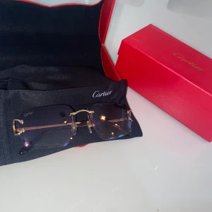 Solglasögon med gulddetaljer - Snygga solglasögon med guldfärgade bågar och mörka glas. De har en elegant design med tunna skalmar och en lyxig känsla. Perfekt för att ge din stil en exklusiv touch. Kommer med ett rött fodral och originalförpackning.