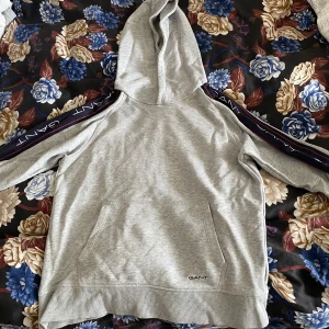 GANT Hoodie - 170cm 