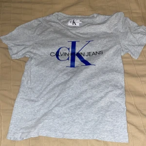 Grå t-shirt från Calvin Klein Jeans - Snygg grå t-shirt från Calvin Klein Jeans med stor blå och svart CK-logga framtill. Klassisk passform och rund halsringning. Tillverkad i mjuk bomull som är skön att ha på sig hela dagen.