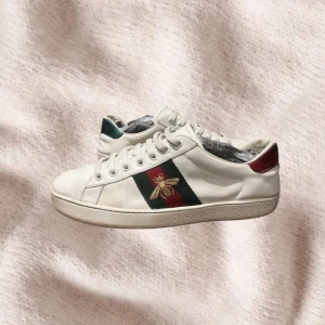 GUCCl ACE - Säljer dessa jätte snygga skor med lite små defekter som sulan och lite slitet i hällen men annars väldigt fräscha skor för ett väldigt bra pris | skriv vid frågor eller funderingar!