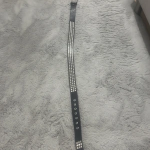 Taggig bälte  - Taggig bälte! 