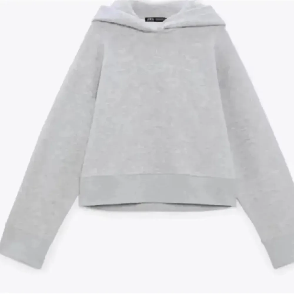 Säljer min jätte fina gråa zara hoodie som är lite kortare i modellen! Knappast använd❣️. Tröjor & Koftor.