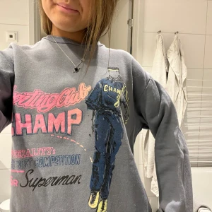 Grå sweatshirt med tryck - Säljer en grå sweatshirt med jättecoolt tryck!! Älskar denna