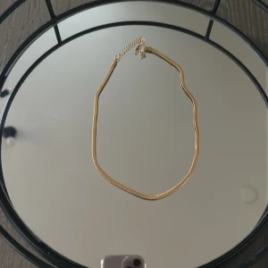 Guldigt halsband - Säljer ett stilrent och elegant guldigt halsband Rostfri. RPerfekt för att ge en touch av glamour till vilken outfit som helst. Halsbandet har en enkel kedja med justerbar längd för att passa alla tillfällen. Passar både till vardags och fest!