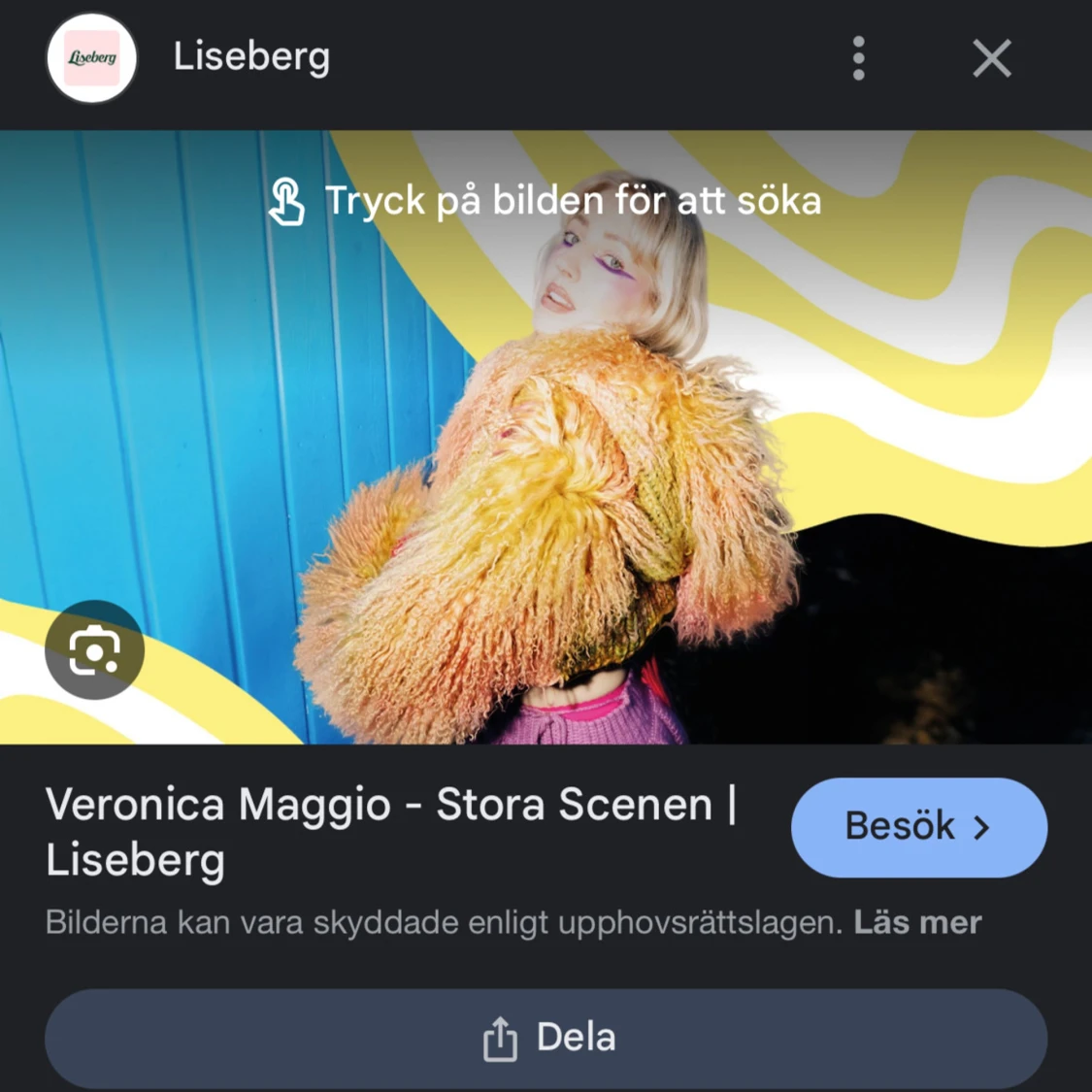 Veronica Maggio konsert 