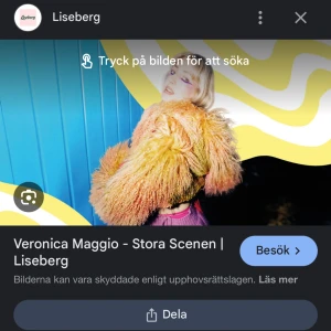 Veronica Maggio konsert  - Två biljetter 