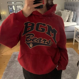 Vintage hoodie - Supersnygg vintage hoodie. Tror att det är herrstorlek så passar både killar och tjejer. Ganska oversized på mig som brukar ha S/M i tröjor. ⭐️