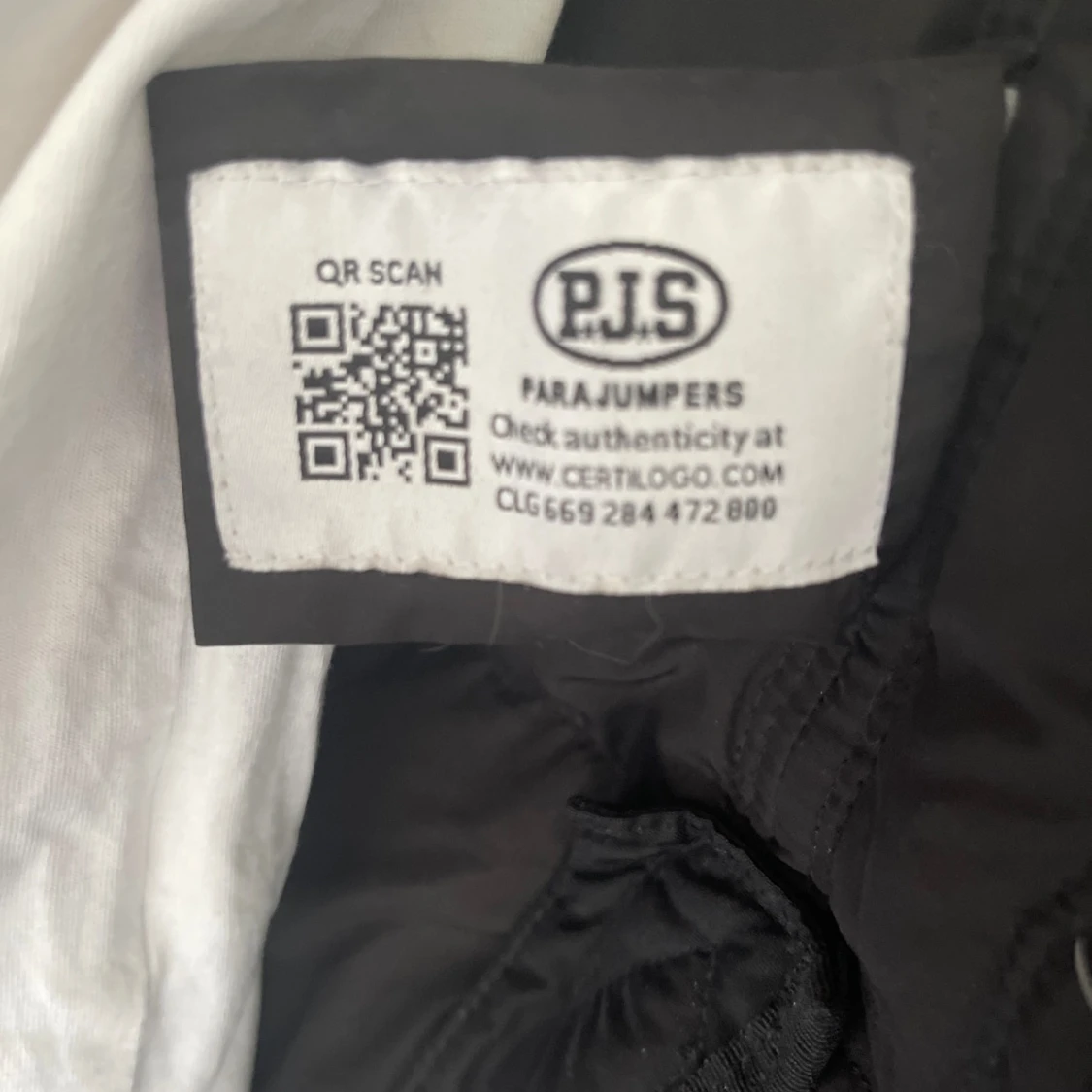 Parajumper longbear  - 91