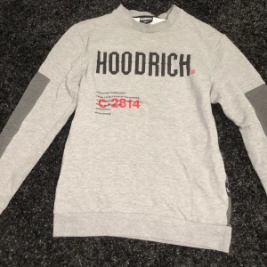 Grå tröja från Hoodrich - Säljer en grå tröja från Hoodrich med tryck både fram och bak. Tröjan har långa ärmar och en dragkedja på sidan. Perfekt för en casual look. Köptes för 900kr på jd.