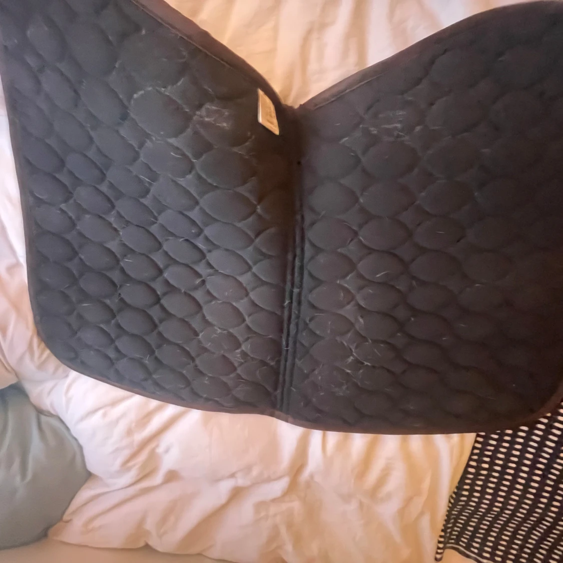 Schabrak storlek cob🫶🏻 - 92