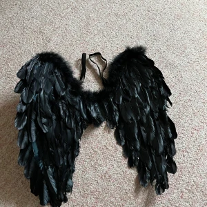 Svarta halloween vingar - Snygga svarta halloweenvingar perfekta för maskerad eller temafest. De är gjorda av svarta fjädrar och har elastiska band för enkel passform. Perfekt för att skapa en dramatisk look.
