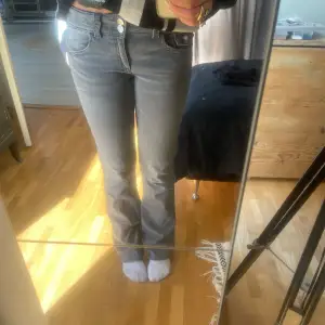 Lågmidjade grå jeans med 2 knappar, så snygga!💓170 i Gina young storleken