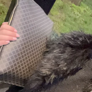 Datorfodral - Super fint datorfodral från hm men är väldigt likt de från malen Birger❤️vet inte riktigt vilken storleken den är men de är hyfsat stor och jag får plats med min rätt stora mac + böcker 🥰