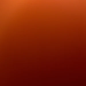 Moncler Cardigan - ….