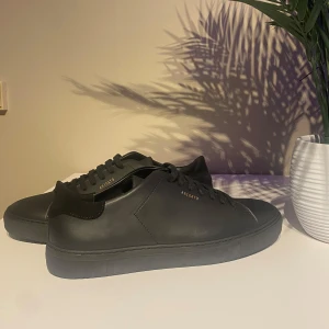 Axel Arigato - Axel Arigato skor helt nya 10/10 stl 45