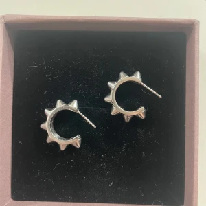 Silvriga örhängen med nitar från Edblad - Jätte snygga örhängen från Edblad som har använts men har inga defekter🩷