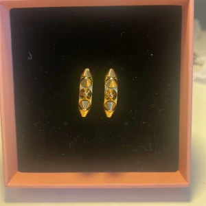 Edblad örhängen  - Ett par Edblad örhängen 😻