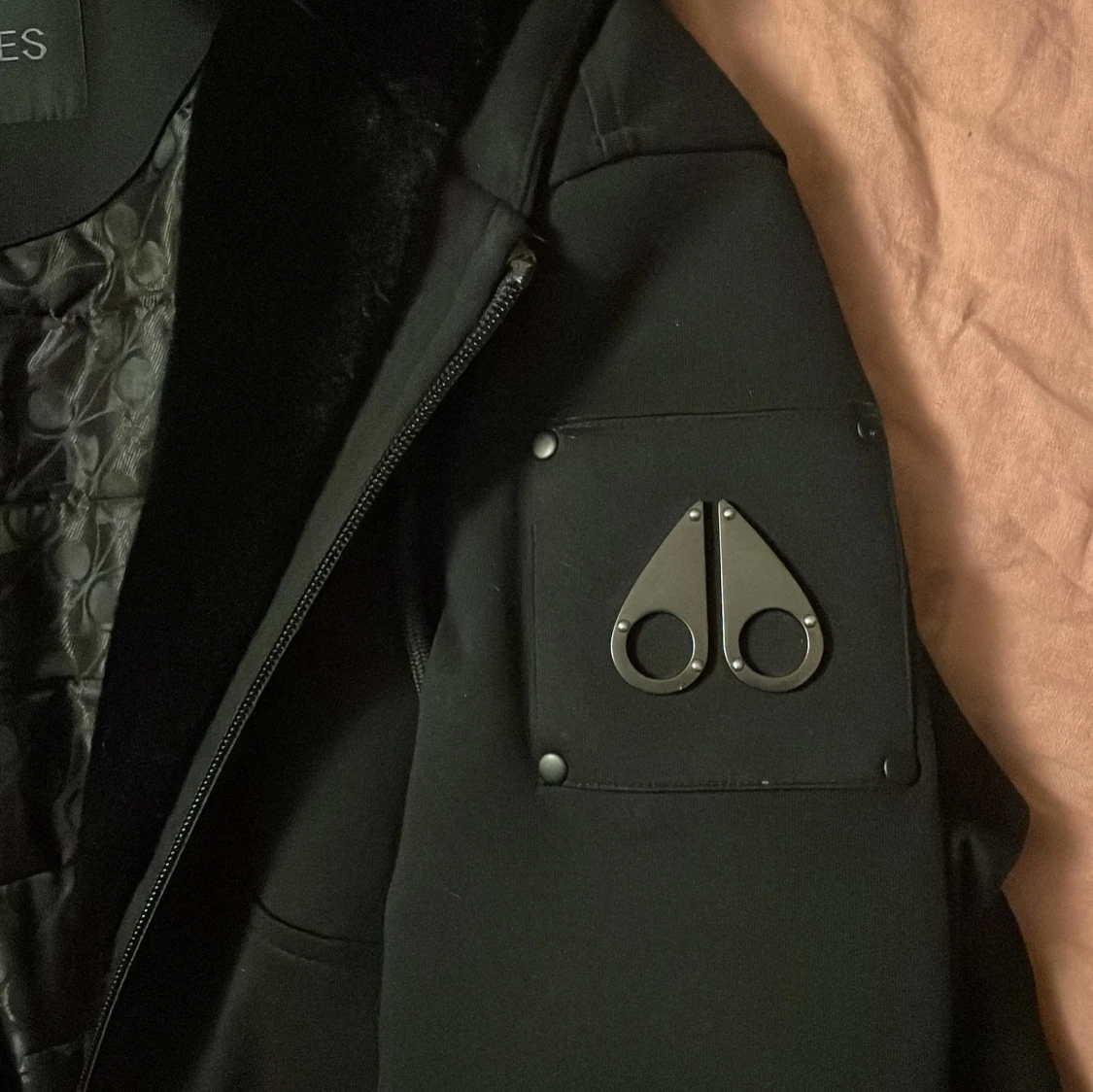 Moose knuckles bunny - 2