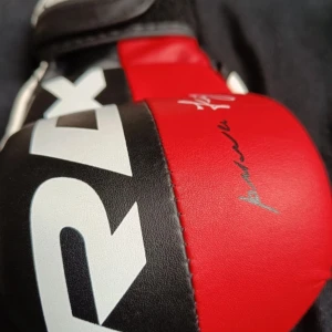 Röd och svart mma handskar från RDX - Snygga mma handskar från RDX i röd och svart design med vit logga. Handskarna har en öppen design för fingrarna och justerbar kardborreknäppning för bästa passform. Perfekta för träning och sparring.