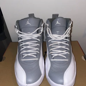 Jordan 12 retro Stealth - Storlek 43, använt få tal gånger. Går att sänka vid snabb affär.