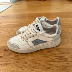Axel Arigato Skor - Hej! Säljer nu dessa snygga skor i storlek 36, med anledning av att dom blivit för små. Dessa går ej längre att köpa online eller i butik, nypris: 2600 kr.  Pris kan självklart diskuteras vid snabb affär! 