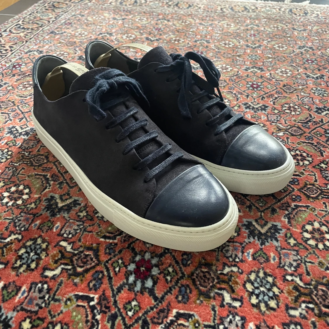 Sneaky Steve Sneakers