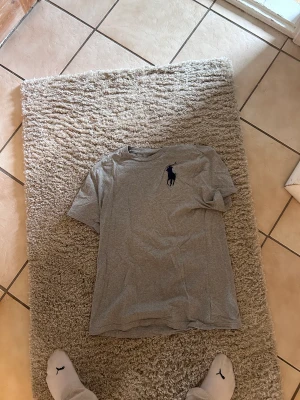 Ralph Lauren t-shirt - Inga hål eller fläckar osv  För stor för mig som är 177 och normalt bär storlek S. Skulle säga att den passar M-L  Nypris: 399  Köpare står för frakt