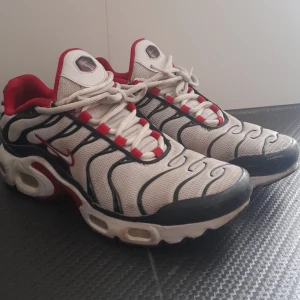 Nike air max plus TNs - Nike air max plus TNs🟥bra skick✅️ utan box, äkta