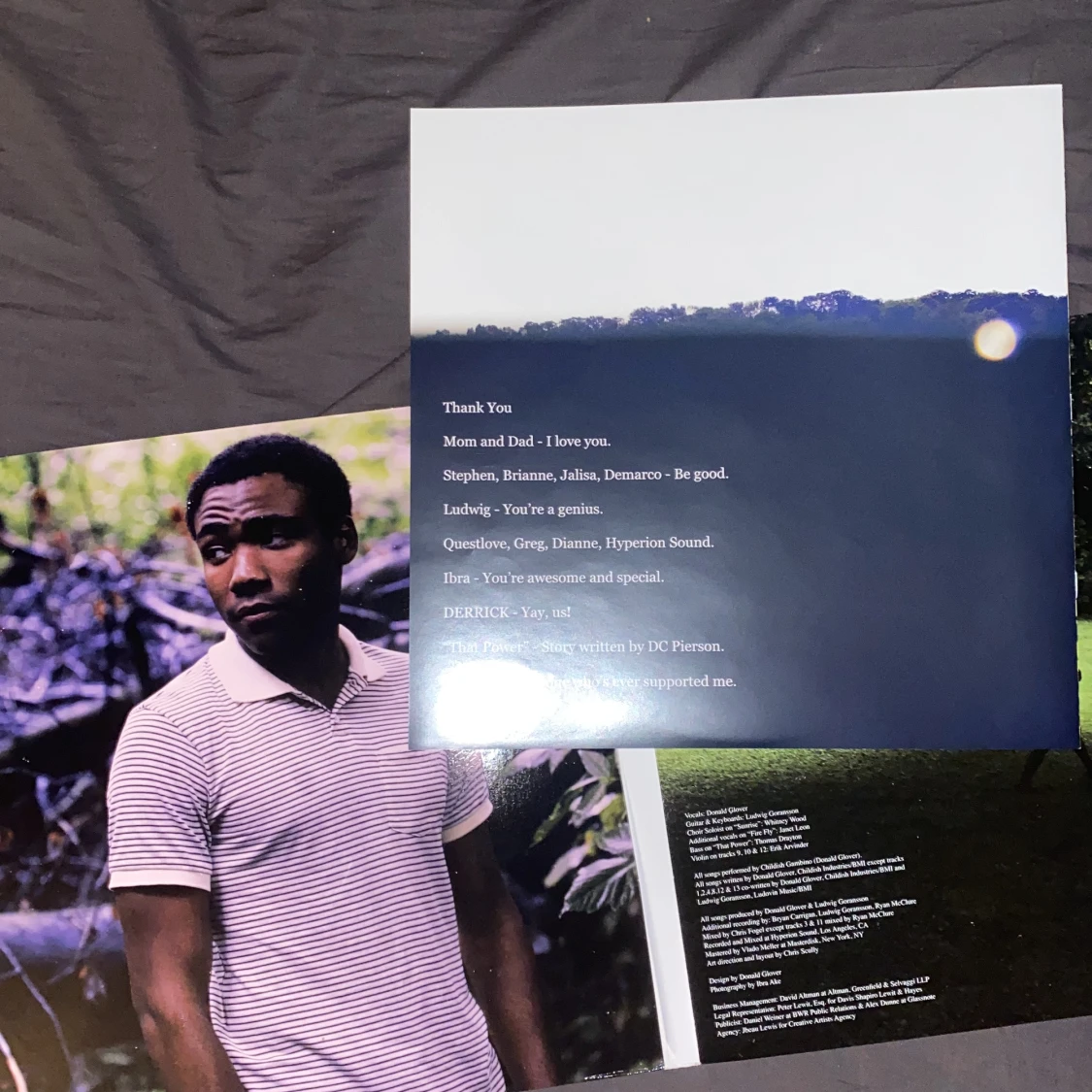 Childish gambino camp vinyl - 91