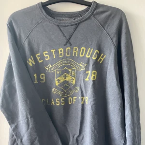 Grå L.O.G.G college sweatshirt  - Grå college sweatshirt från Hm L.O.G.G.  Står storlek L på plagget men passar M och S  bra! Plagget är Bra skick, skriv för fler frågor eller bilder! 