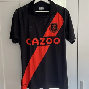 Everton fotbollströja  - Aldrig andvänd, äkta Everton tröja Köparen står för frakt