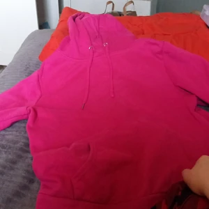 Rosa huddy  - Rosa huddy 