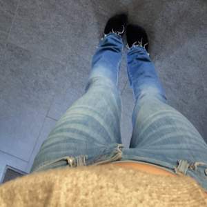 Crocker jeans, modell pep boot, 25/32