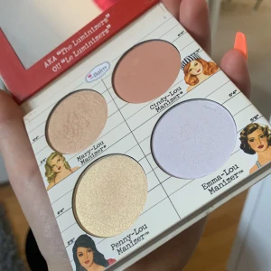 Highlight palette  - Bara testad på handen annars oanvänd 