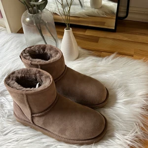 Nya Uggs, intressekoll! - Intressekoll på mina Uggs i färgen caribou, köpta i slutet på förra vintern men aldrig använda, funderar på att sälja pågrund av att jag vill köpa andra skor. Lådan finns tyvärr inte kvar men kan leta upp kvitto💞