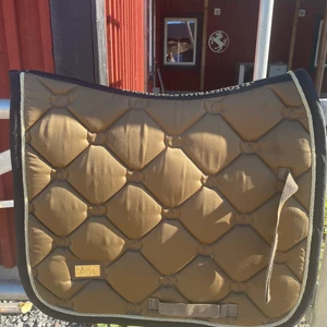 Equestrian Stockholm  - Guld brunt equestrian Stockholm schabrak stl cob. Fint skick men använt. Pris är diskuterbart och fler bilder finns vid intresse. 