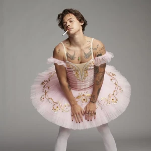 Harry Styles 13/5-23 Danmark - Två biljetter till Harry i maj. Ståplatser med early entry i rare zone! Skriv om du har någon fråga😇