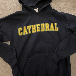 hoodie med tryck - Cool häst på ryggen. Superskön! Står L på lappen men sitter mer som XS skulle jag säga, eller en tajtare S. Liten luva