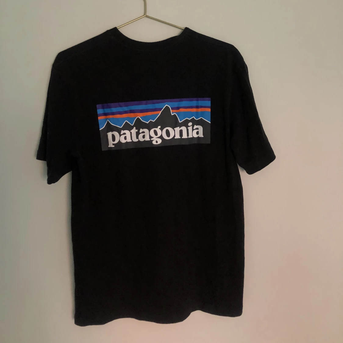 Patagonia T-shirt