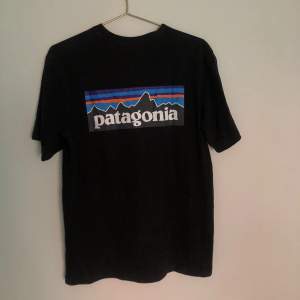 Sjukt fin T-shirt ifrån Patagonia, sitter oversize på mig som vanligtvis är stl S/M🤍