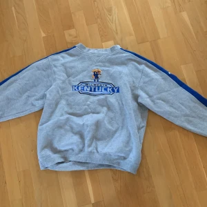 Sweatshirt - Skön och snygg sweatshirt som säljes pga att den inte kommer till användning. Storlek L men passar M. (Går att förhandla) 