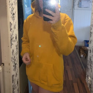 Hoddie - Gul/orange hoddie i stl L Hund och katt finns i hemmet!