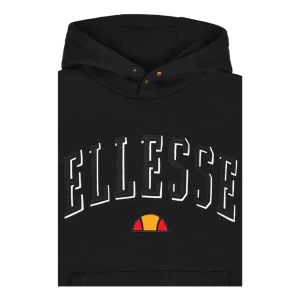 Ellesse hoodie  - Använd endast 2 ggr Nypris 1200kr