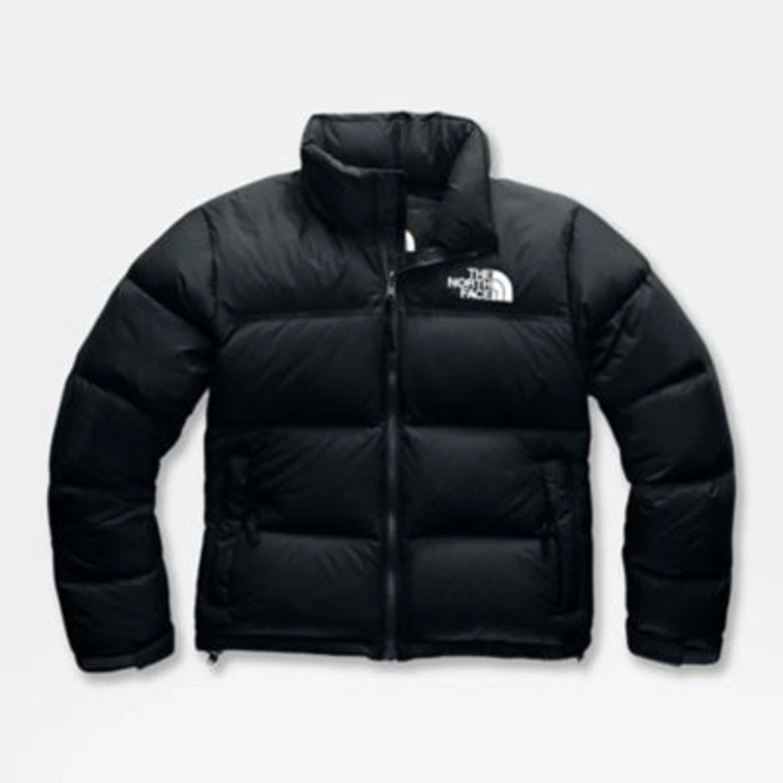 The north face jacka 