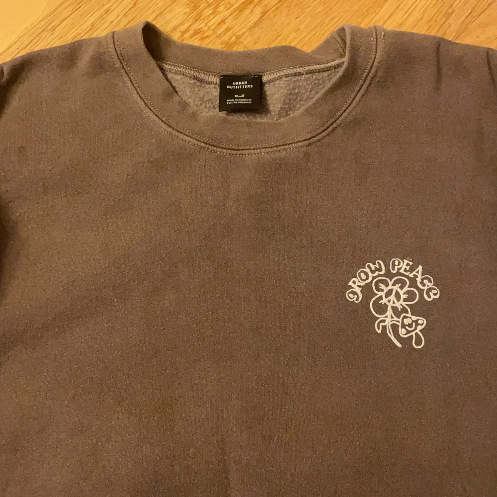 Brun sweatshirt från Urban outfitters i bra skick . Tröjor & Koftor.