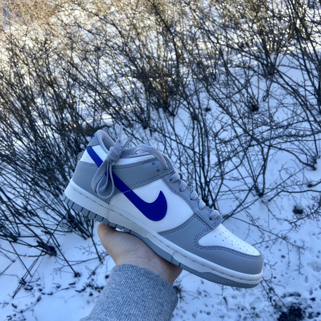 Nike Dunk Low Royal Grey - 91