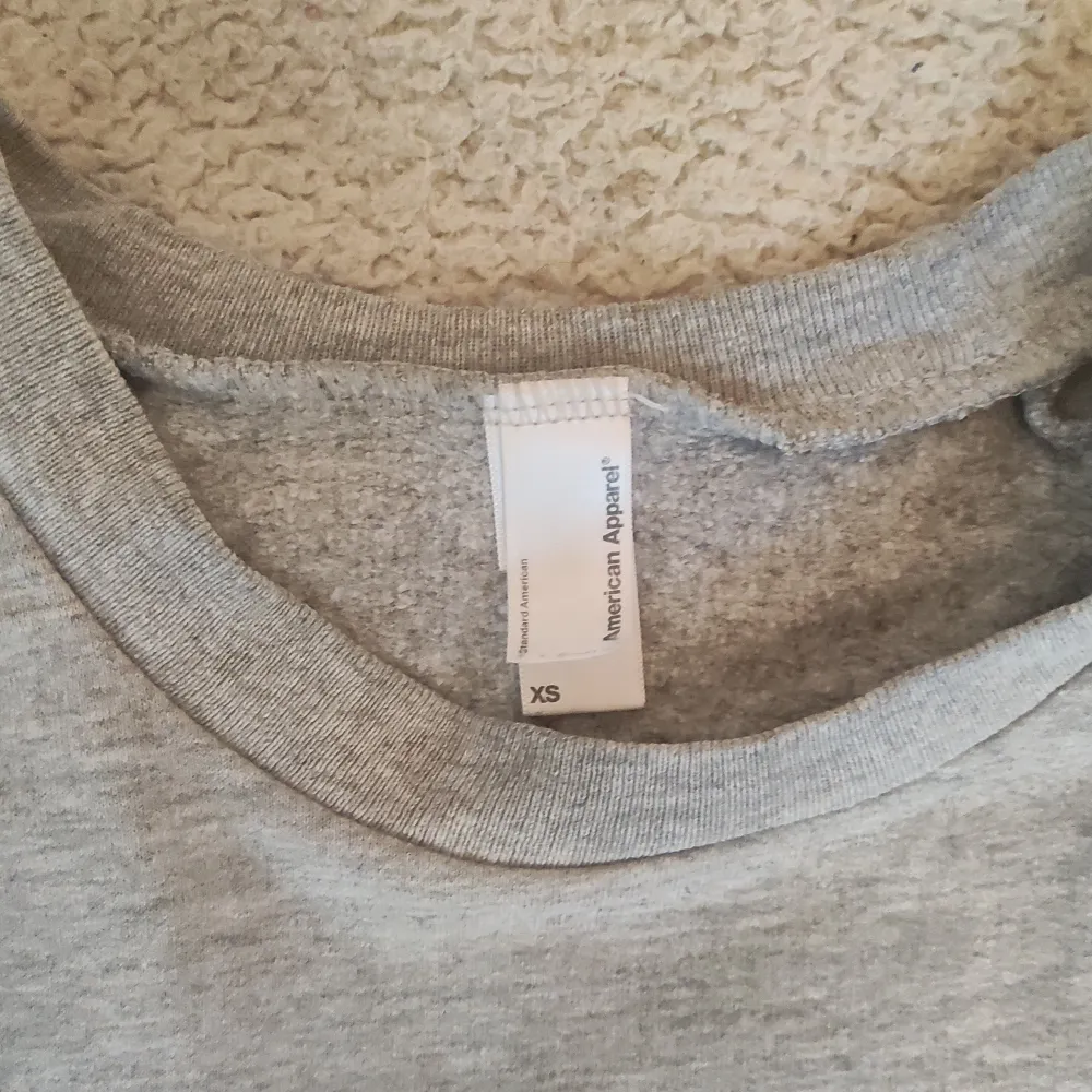 Grå sweatshirt från American Apparel. Inga synliga defekter. Möts upp i Stockholm och fraktar ✨. Övrigt.
