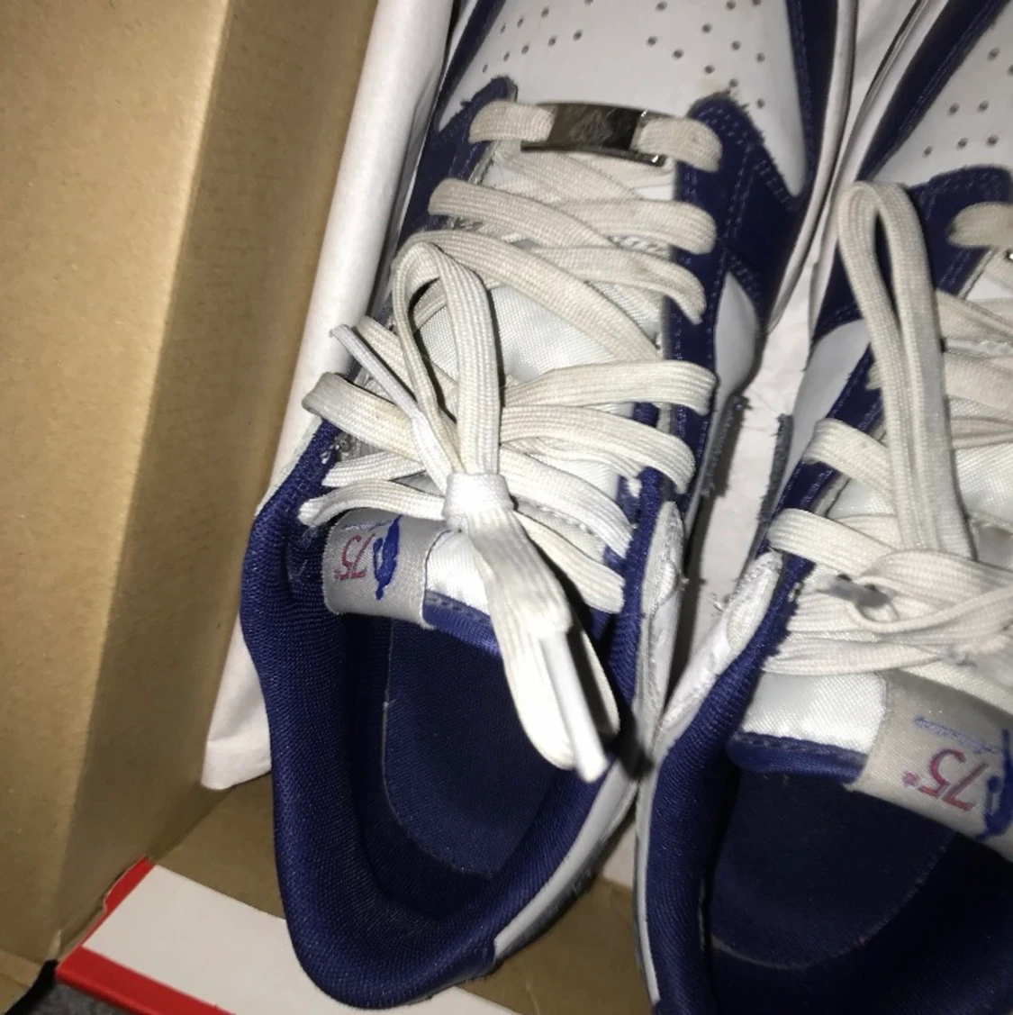 Nike dunk low nets 75 - 91