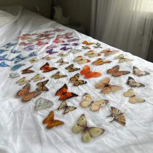 Säljer detta storpack med 68 superfina klistermärken som föreställer blå, lila, rosa, orange, bruna och ljusbruna fjärilar 😻🙌🏼 45 kr vid mötas upp & 56 kr vid frakt ✨